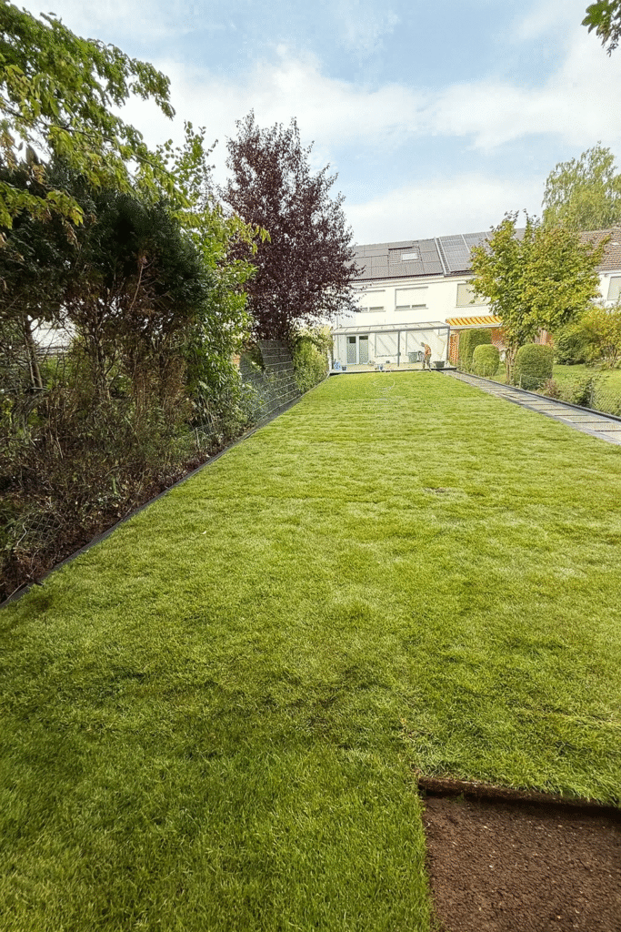 Rollrasen verlegen lassen Hohen Neuendorf